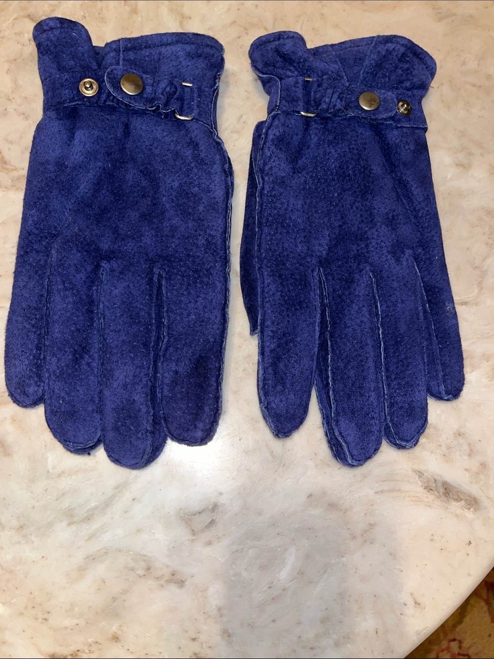 Aris Navy Blue Suede Gloves with Snap Detail at Wrist